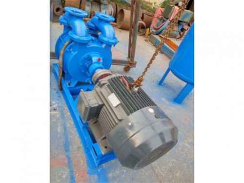 2SK vacuum pump