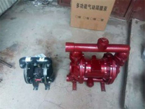 Pneumatic diaphragm pump