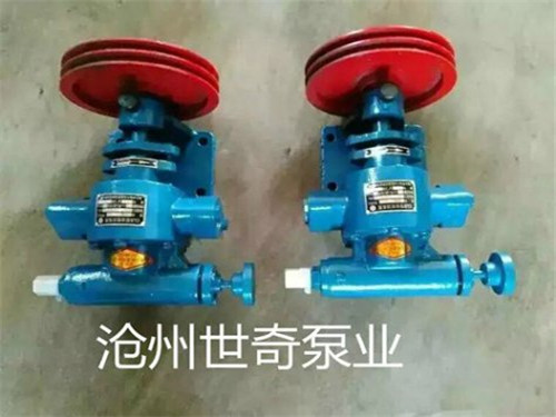 CLB asphalt pump