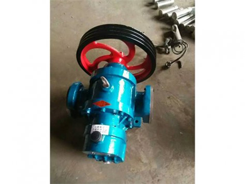 LC high viscosity Roots pump