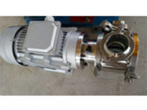 Stainless steel flexible rotor pump