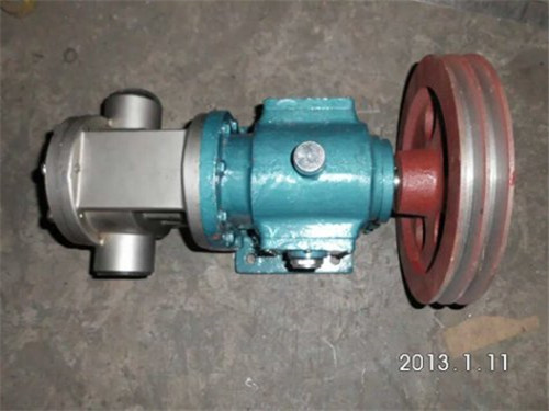 Stainless steel rotor pump