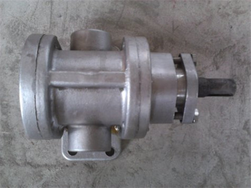 2CY stainless steel gear pump