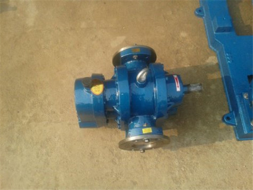 LC belt driven Roots pump