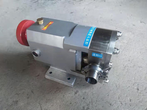 Cam rotor pump